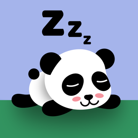 Das Profilbild der Vortragenden