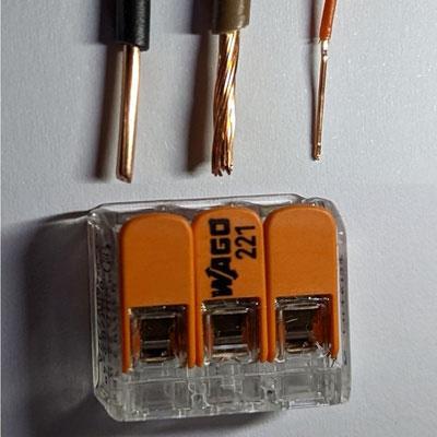 Das Profilbild der Vortragenden