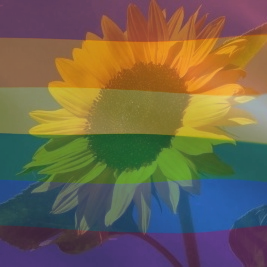 Das Profilbild der Vortragenden