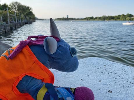 Das Profilbild der Vortragenden