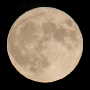 Das Profilbild der Vortragenden